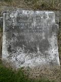 image of grave number 118655